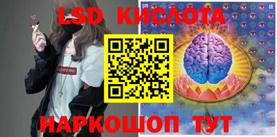 ПСИЛОЦИБИНОВЫЕ ГРИБЫ Боровичи