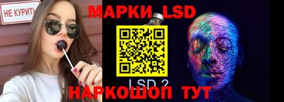ПСИЛОЦИБИНОВЫЕ ГРИБЫ Боровичи